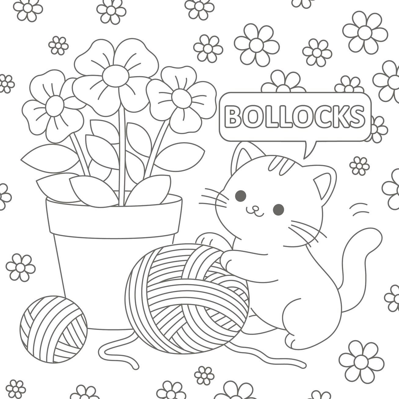The Super-Cute Sweary Cat Coloring Book