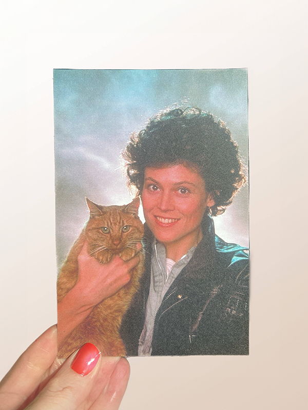Alien Love Postcard