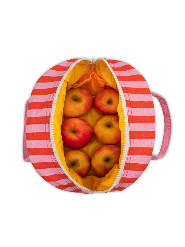 Zipper Lunch: Awning Stripe Pink