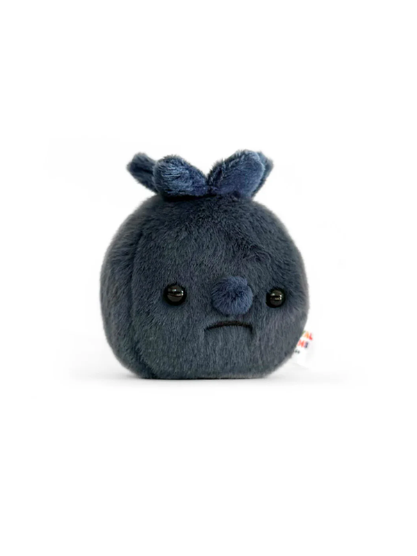Forgotten Blueberry