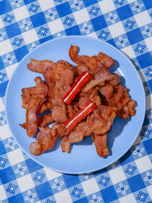 Bacon Hair Clip: Set of 2 (FINAL SALE)