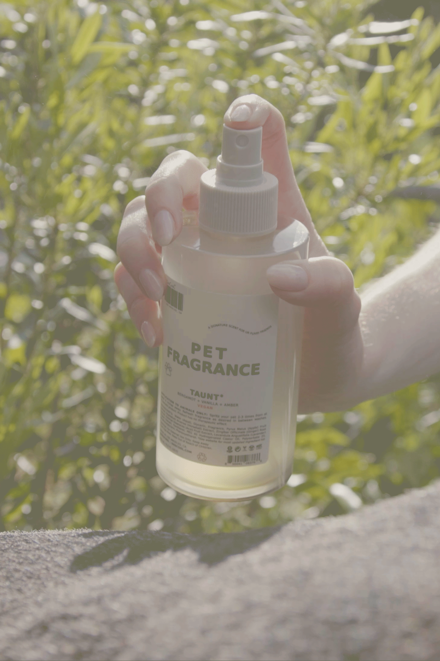 Pet Fragrance: 01 Taunt 8.5 oz.