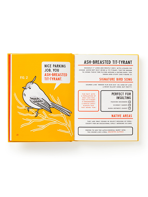 Illustrated Guide to Birds That Sound Like Insults