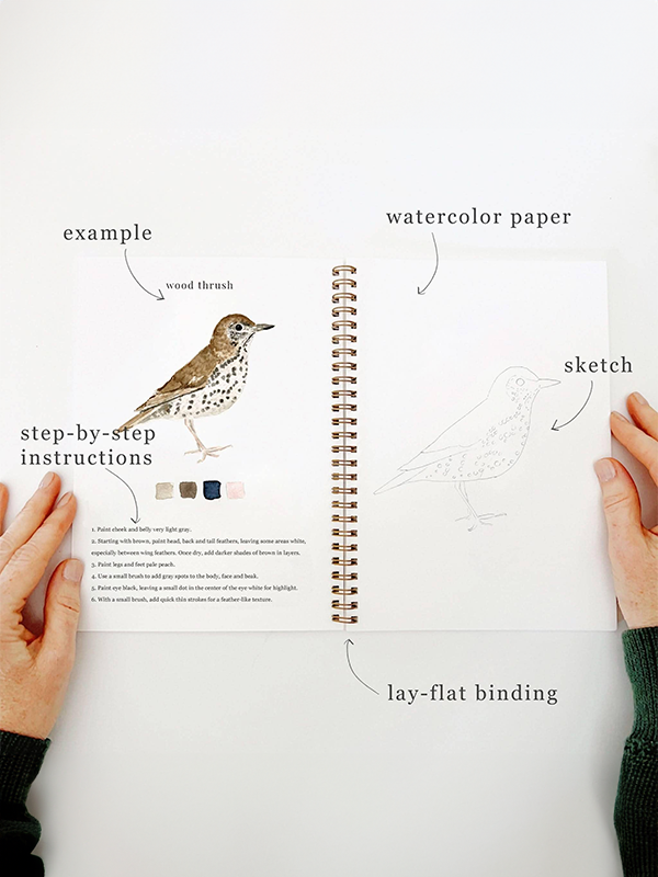 Watercolor Workbook: Birds