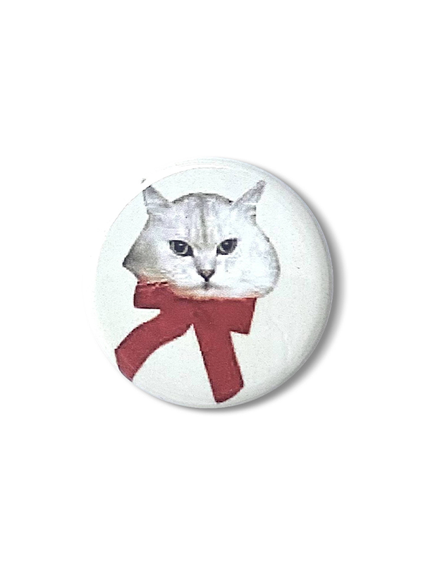 Ms Mo Mo Pin