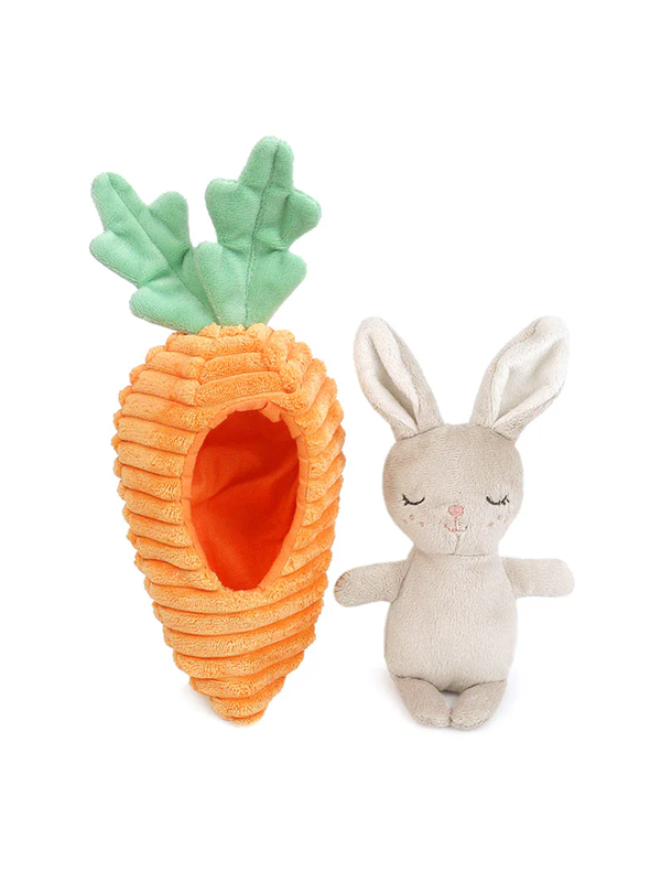 Bunny in Carrot Activity Toy