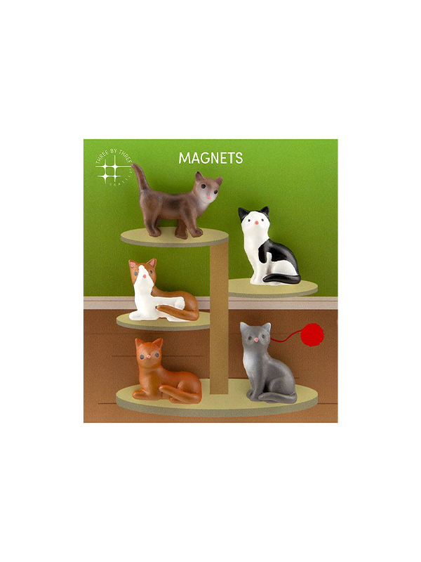 Cat Magnets: Set of 5