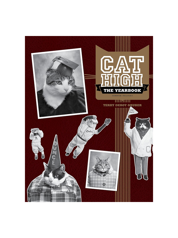 Cat High