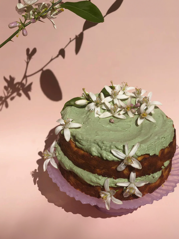 Citri Cookbook Zine