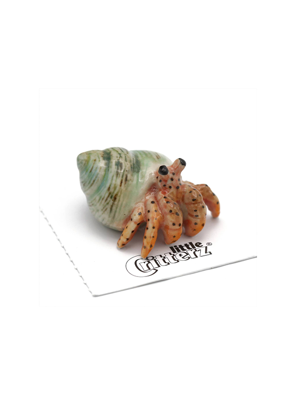 Porcelain Miniature: Hermit Crab
