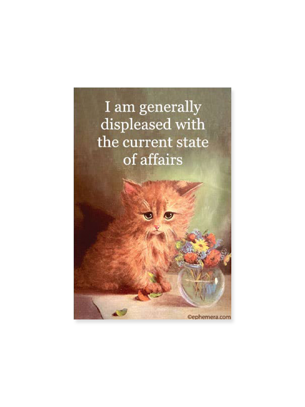 Magnet: Generally Displeased with the Current State