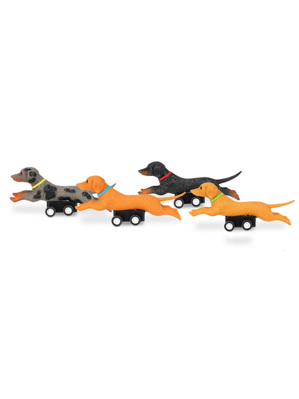 Racing Wiener Dogs (Single, Assorted)