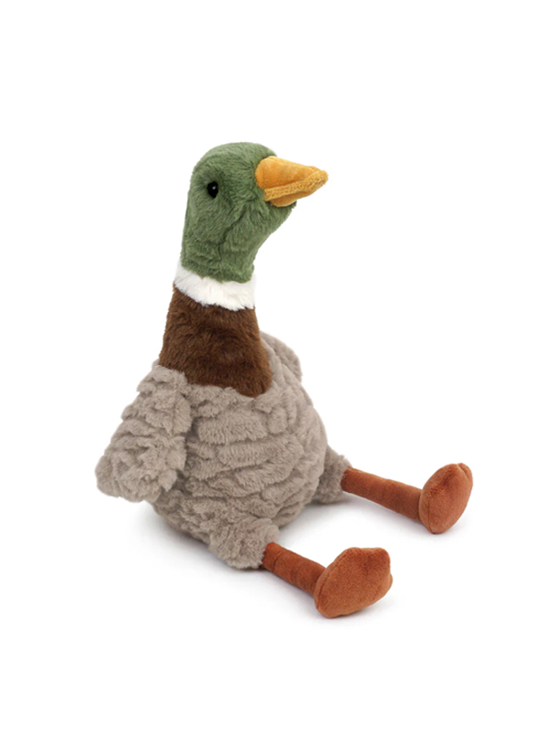 River Mallard Duck
