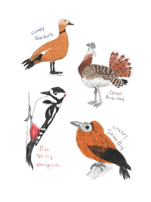 Field Guide to Dumb Birds Sticker Book