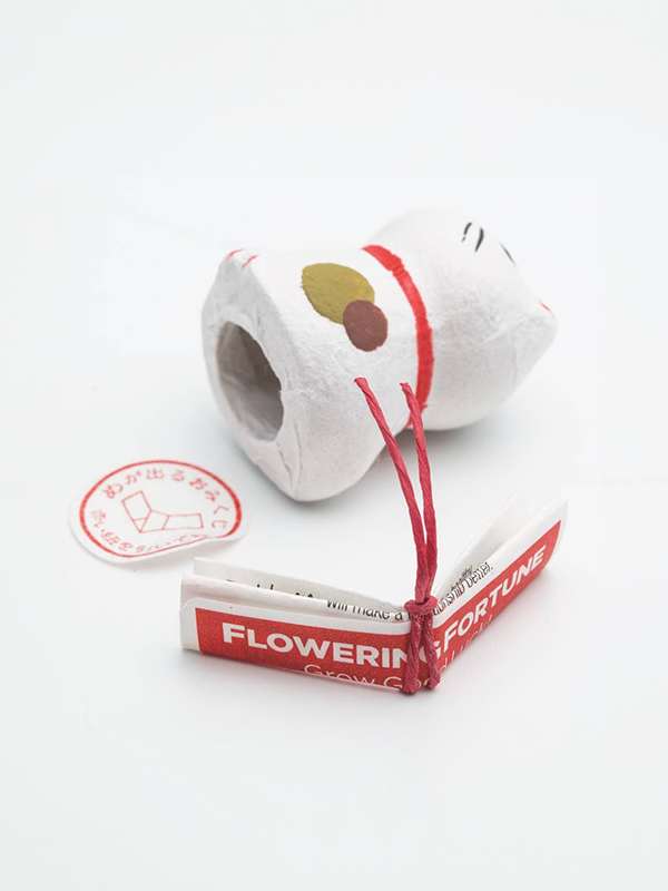 Flowering Fortune: Assorted