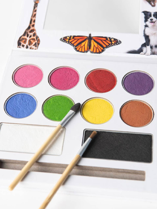 Face Paint Kit
