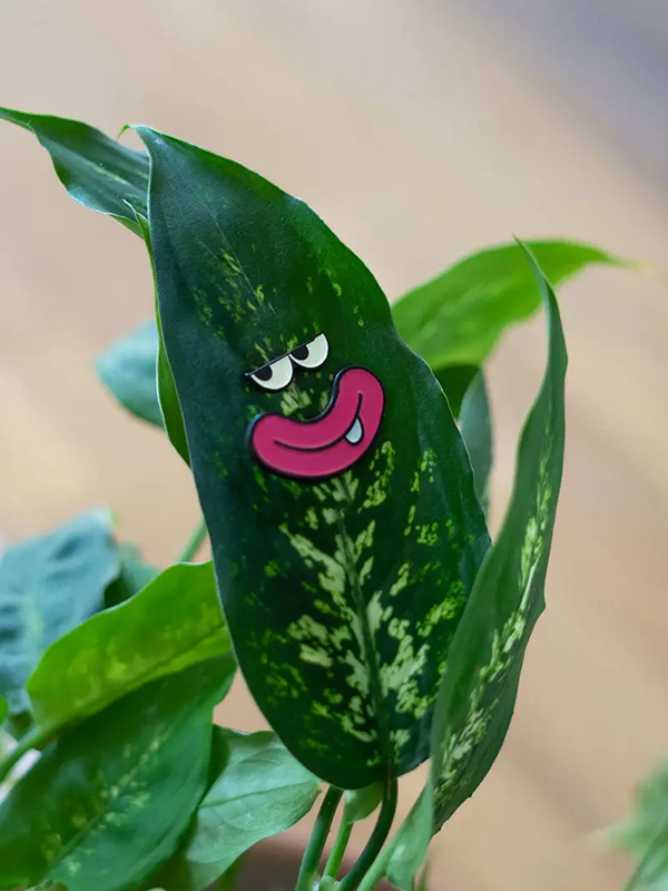 Magnetic Plant Charm: Goof