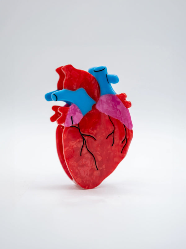 Anatomical Heart Hair Claw