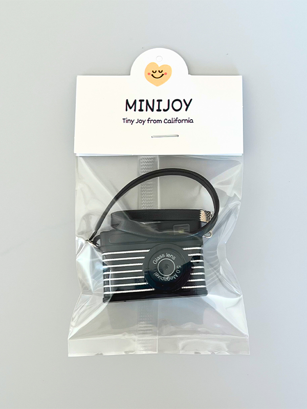 Mini Retro Camera Magnet
