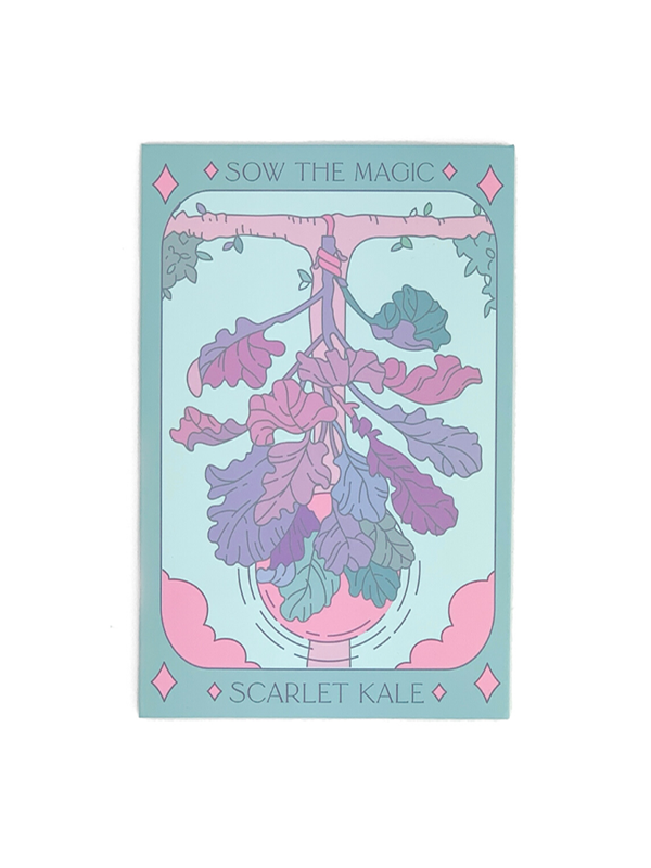 Scarlet Kale Tarot Seed Packet