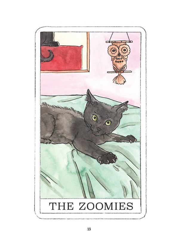 Kitten Oracle