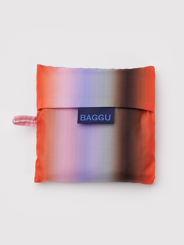 Standard Baggu: Gradient Stripe Poppy & Lilac