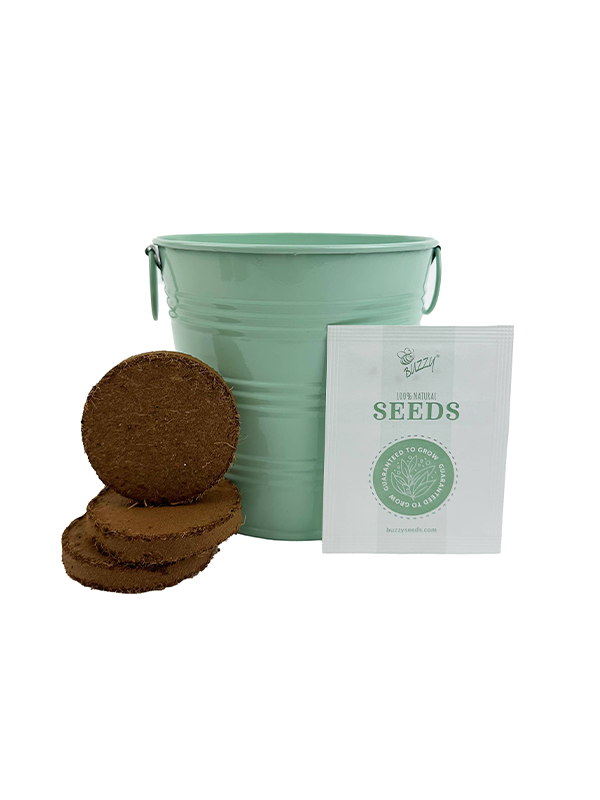 Lavender Grow Kit