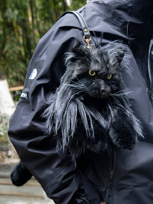 Cat Backpack: Maine Coon
