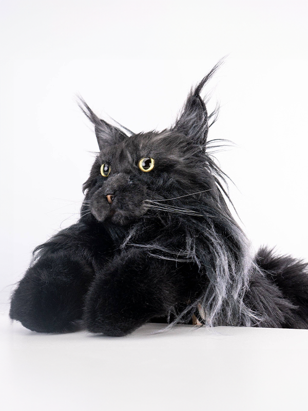 Cat Backpack: Maine Coon