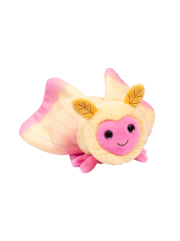 Rosy Maple Moth
