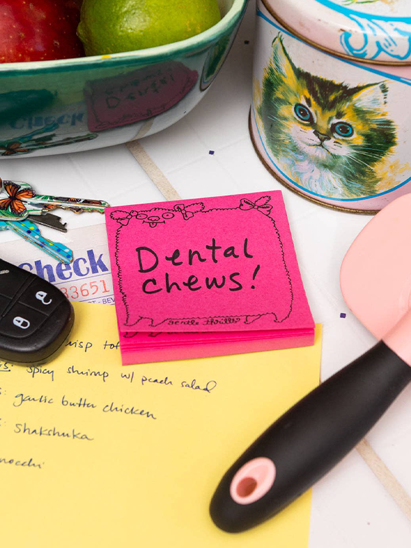 Poodle Sticky Notes