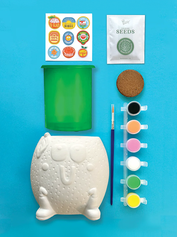 Paint & Grow Set: Orange