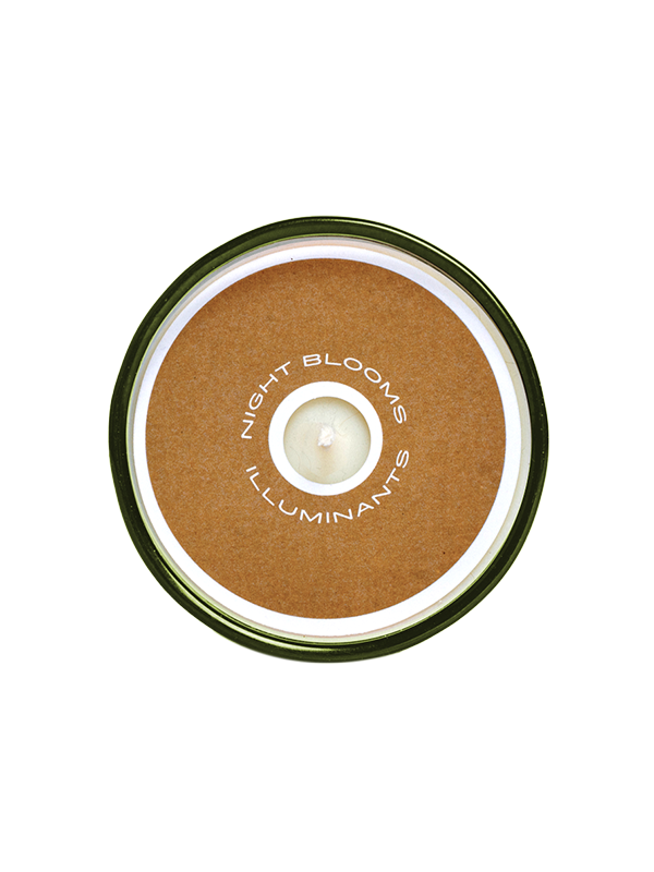 Sespe Pinecone 8 oz. Candle