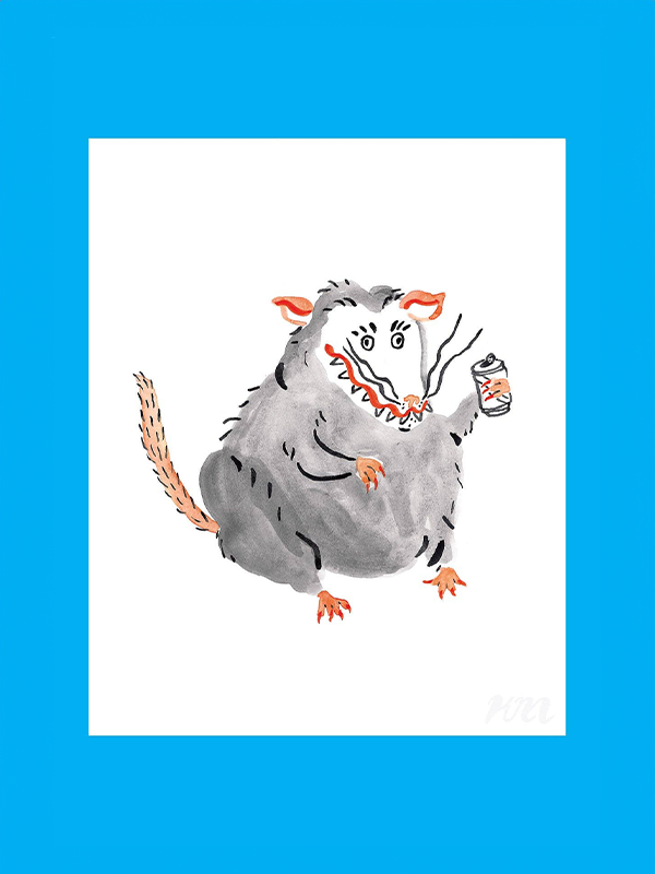 Drinking Opossum Print: 8 x 10