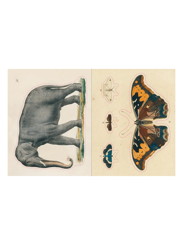 John Derian Sticker Book