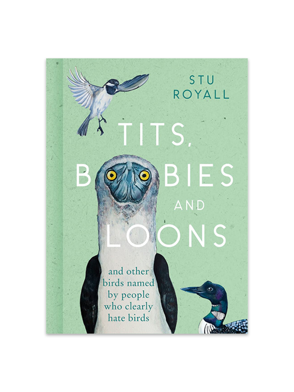 Tits, Boobies and Loons