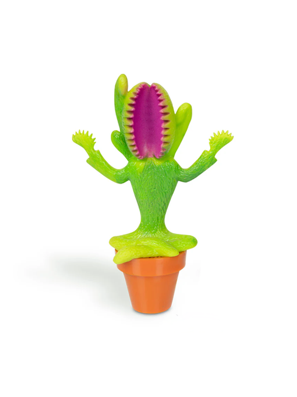 Meditating Venus Flytrap: Assorted