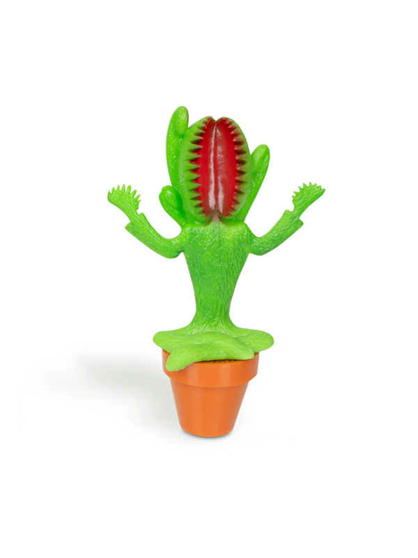 Meditating Venus Flytrap: Assorted