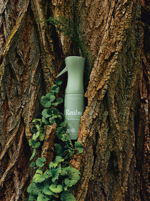 Air & Fabric Spray: Verbena Santal