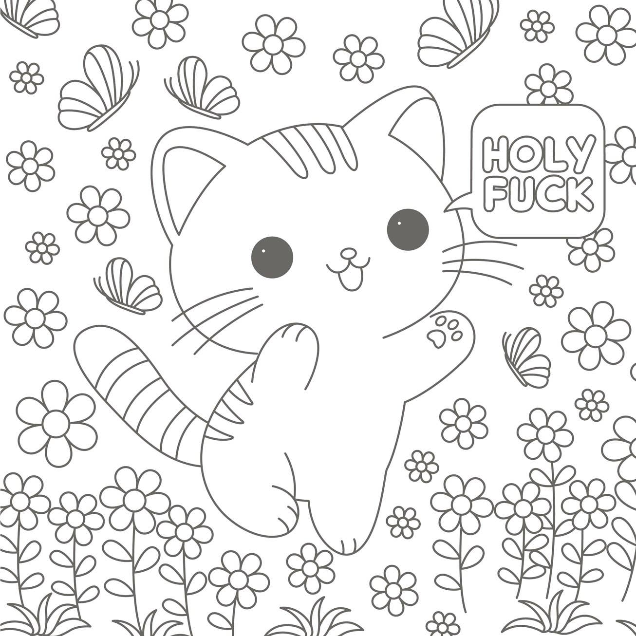 The Super-Cute Sweary Cat Coloring Book