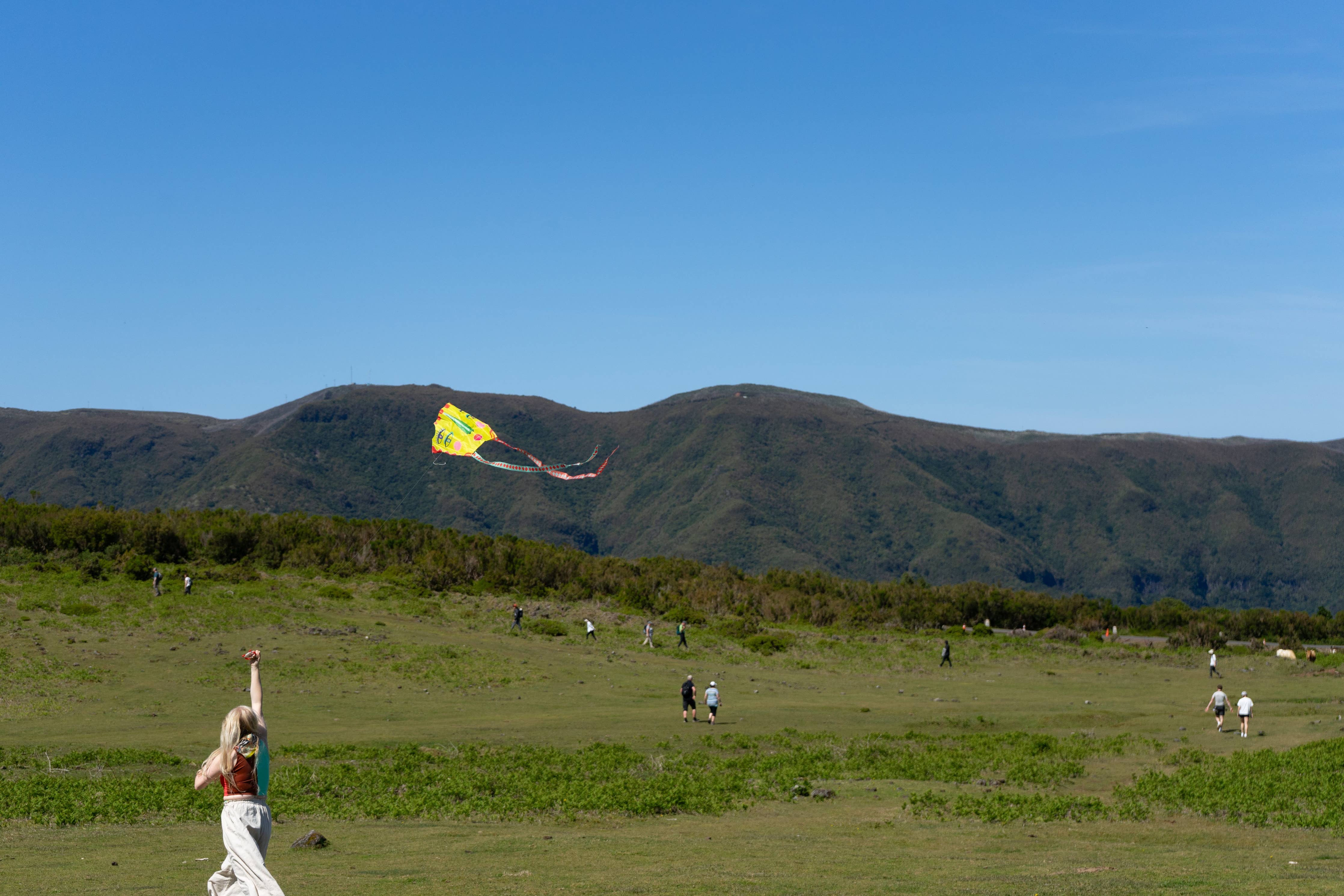 Pocket Kite: Sky Seer