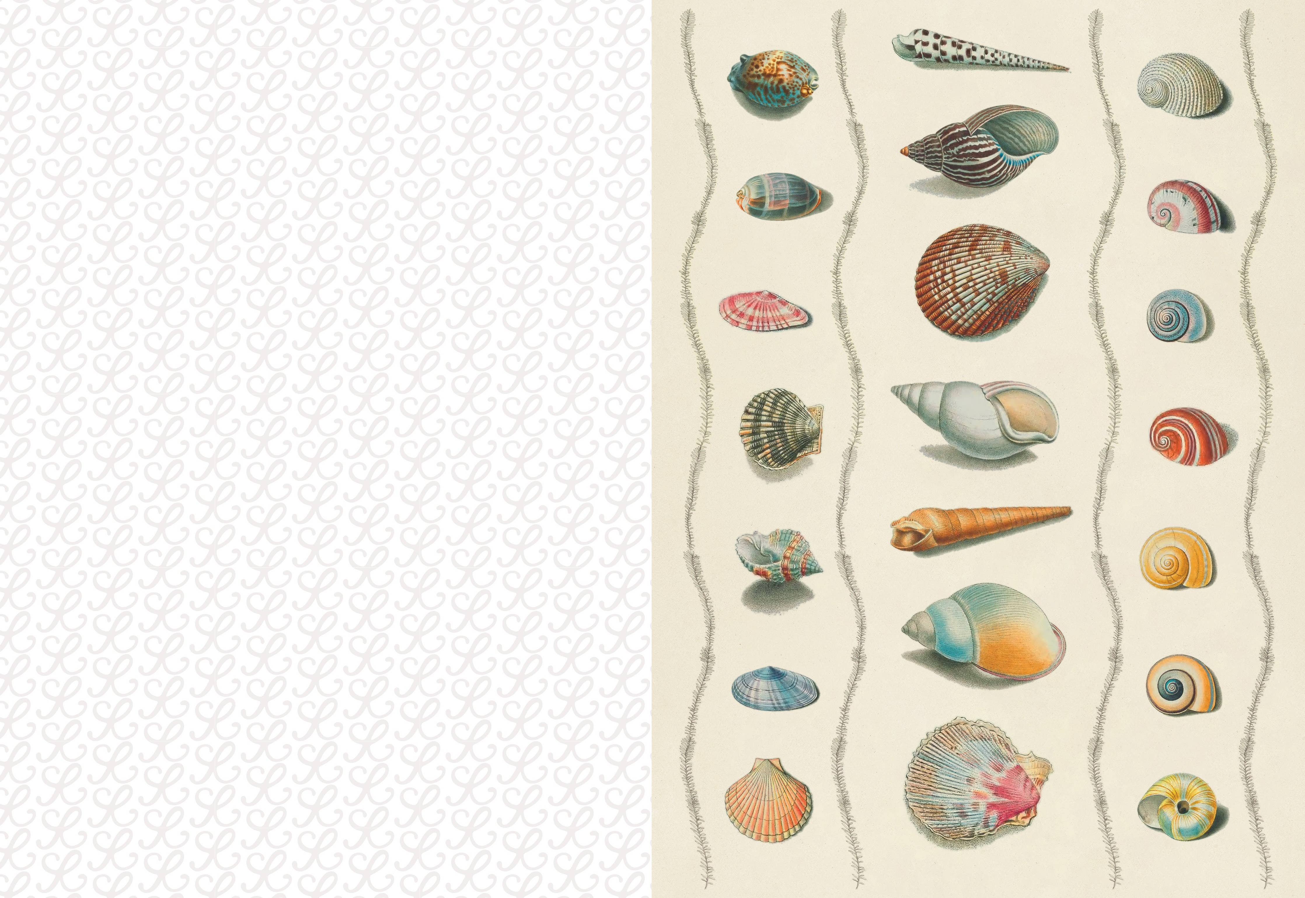 The Collage Compendium