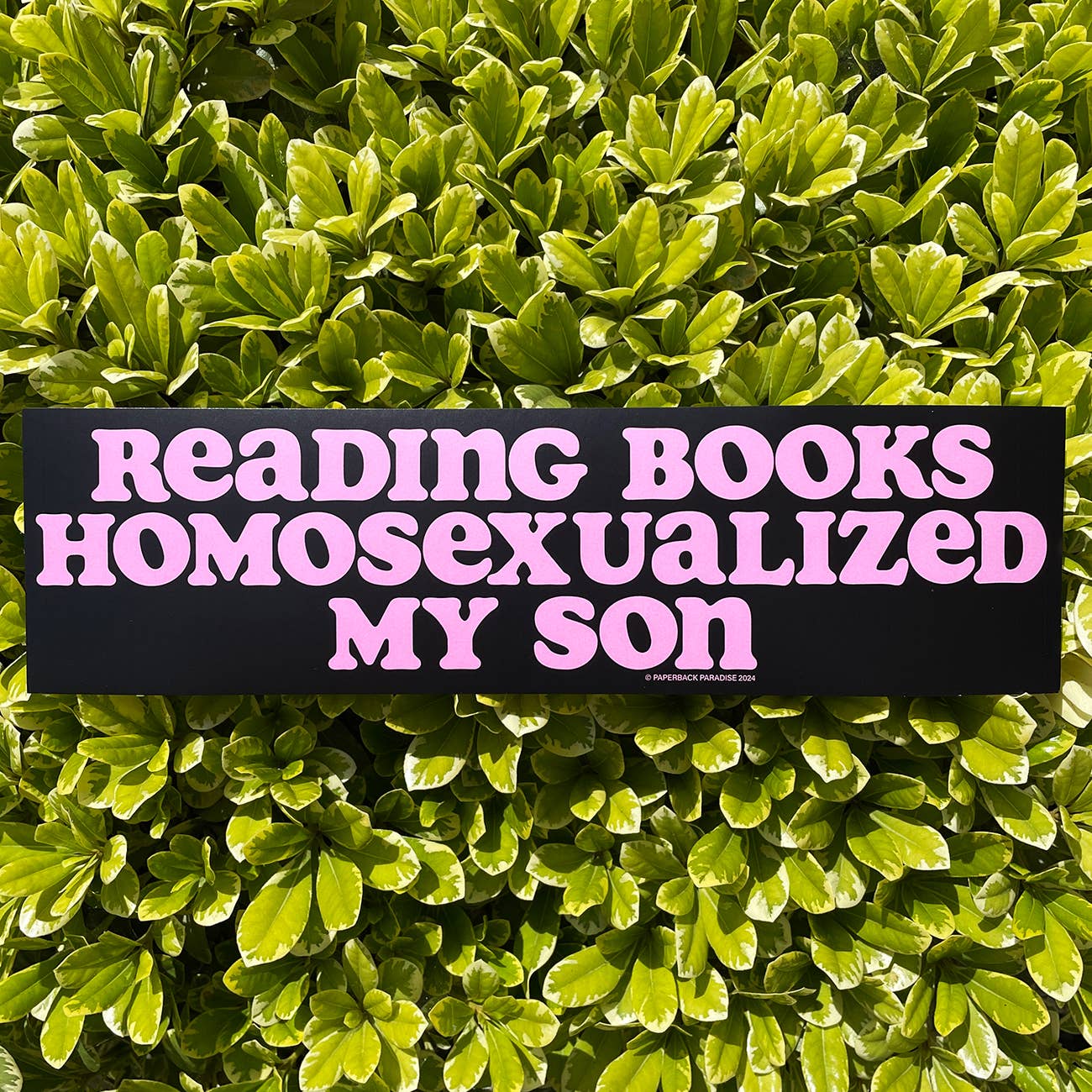 Bumper Sticker: Reading Books Homosexualized My Son