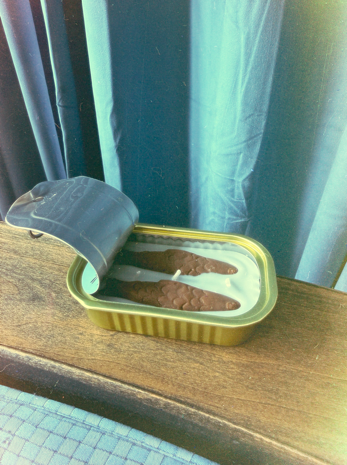 The Original Tinned Fish Candle: Enoki Forest