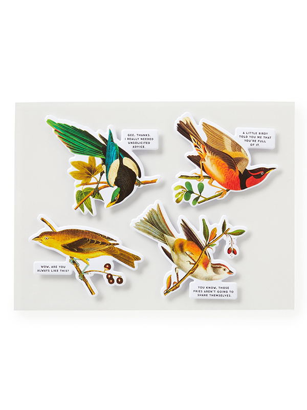 Salty Birds: 1000 Piece Puzzle
