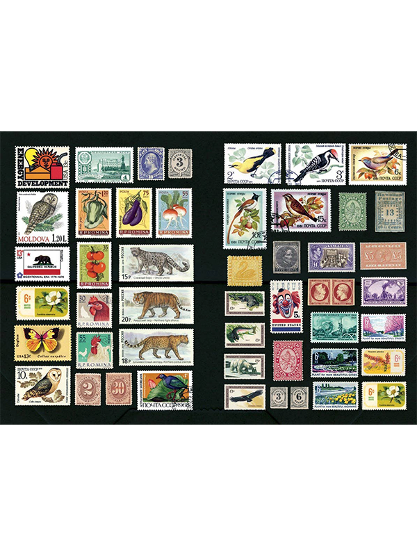 The Curious Collectibles Sticker Book