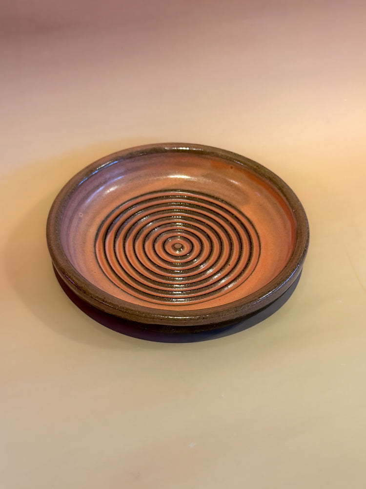 Garlic Grater: Coral