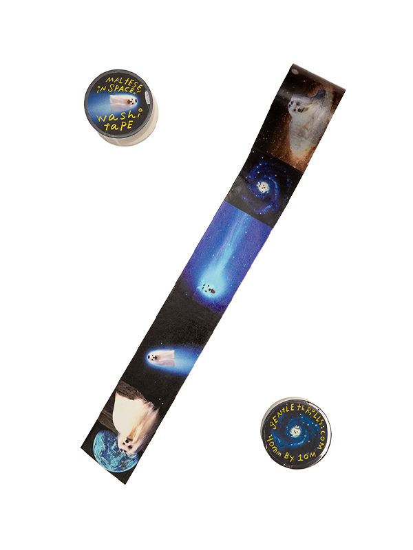 Washi Tape: Maltese in Space