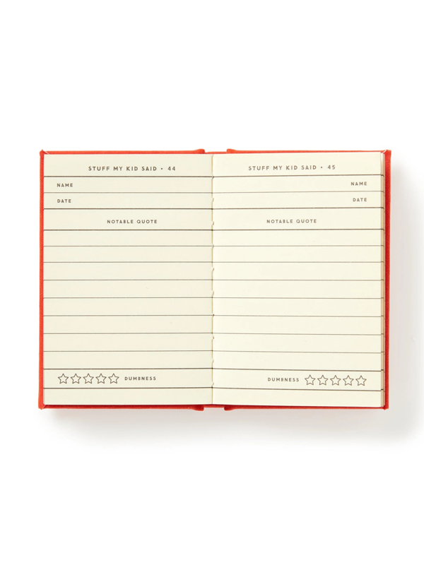 Dumb Things My Kid Said Tiny Diary
