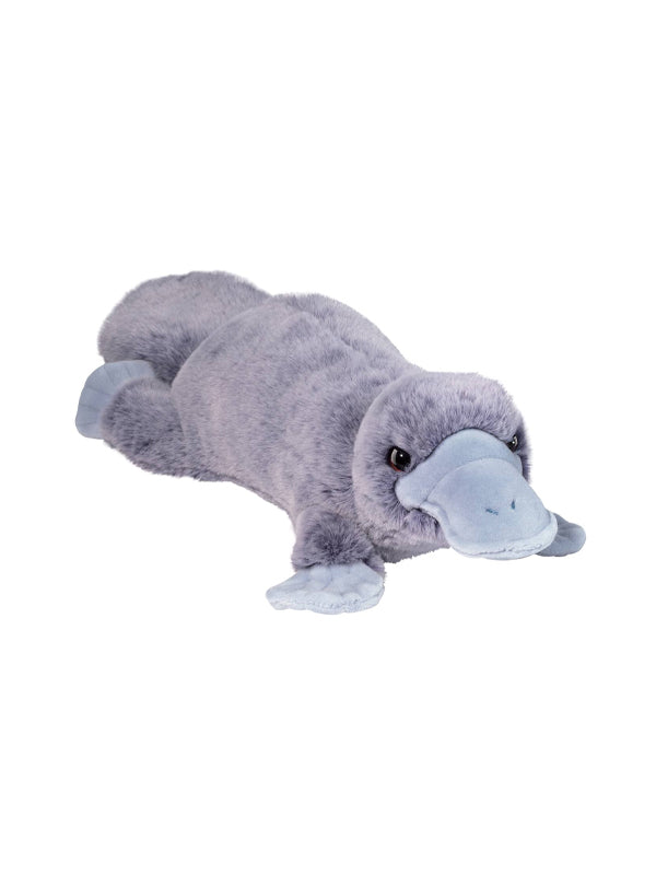 Allie Platypus